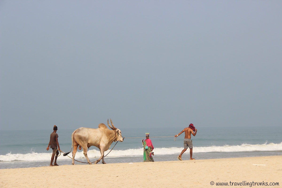 Life on a Beach – A Different Kind of Long COVID